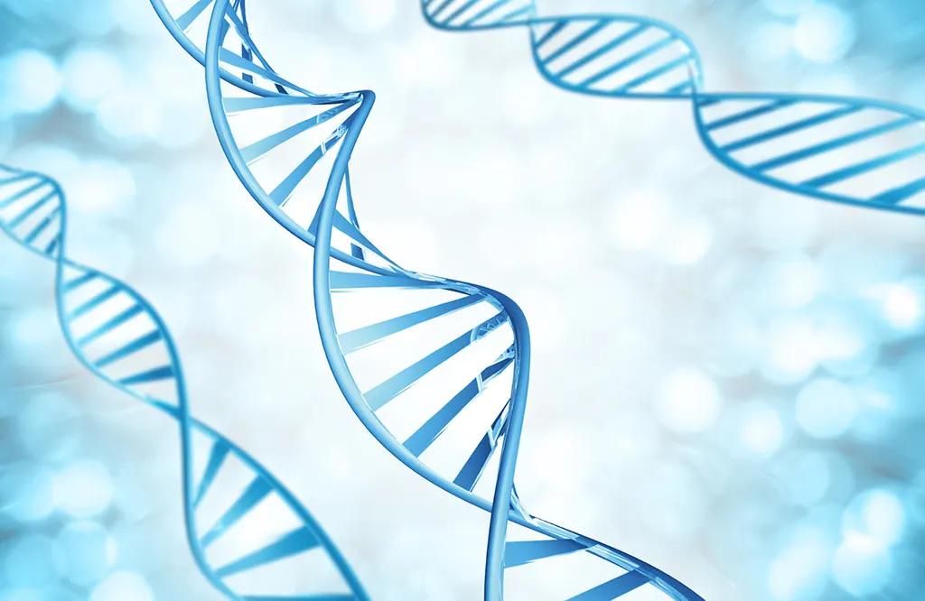 Demencja 12 demencja 7