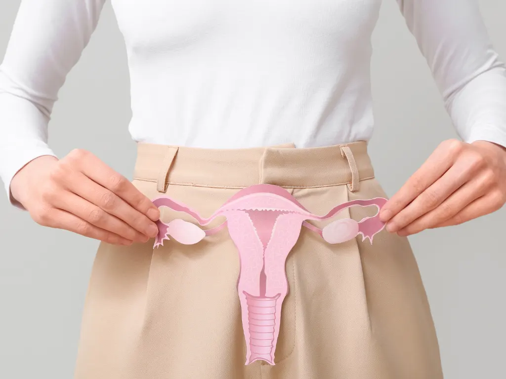 Menopauza 2 Menopauza